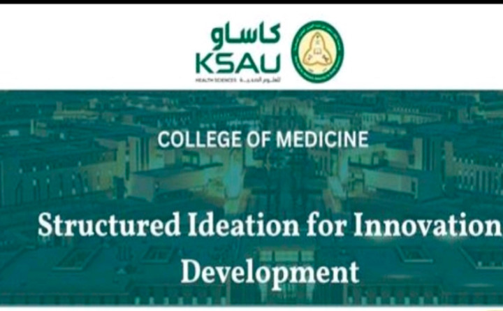 Structured Ideation for Innovation Development