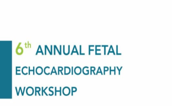 6th Annual Fetal Echocardiography Workshop