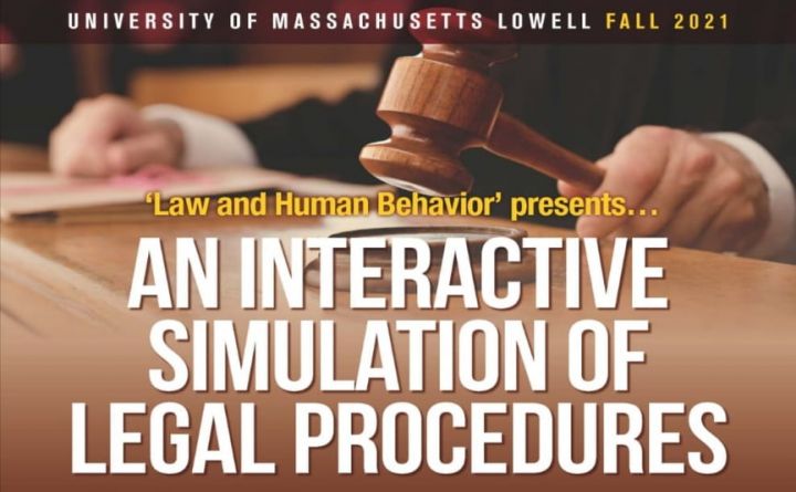 An Interactive Simulation of Legal Procedures