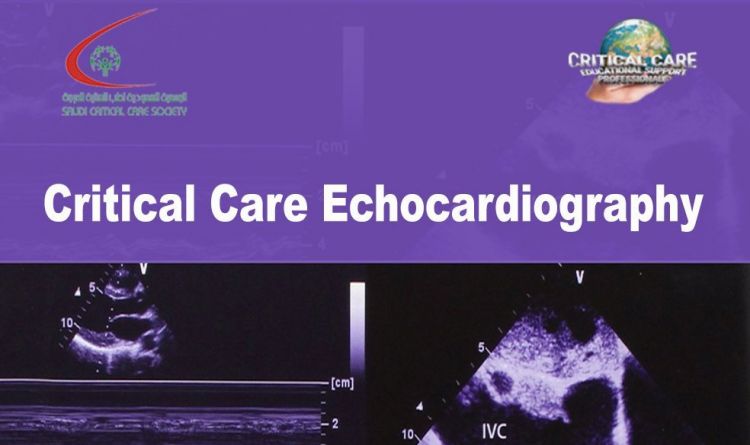 Critical Care Echocardiography