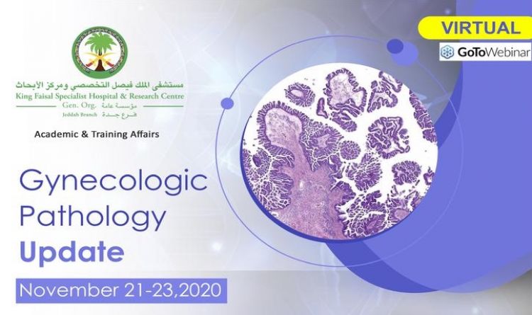 Gynecologic Pathology Update